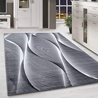 Recensioni di tappeto 170x240