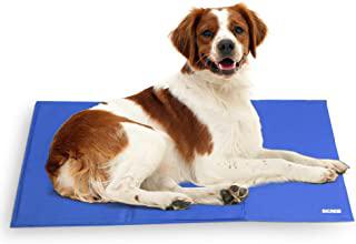 Recensioni di tappeto refrigerante per cani