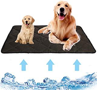 Recensioni di tappeto rinfrescante per cani